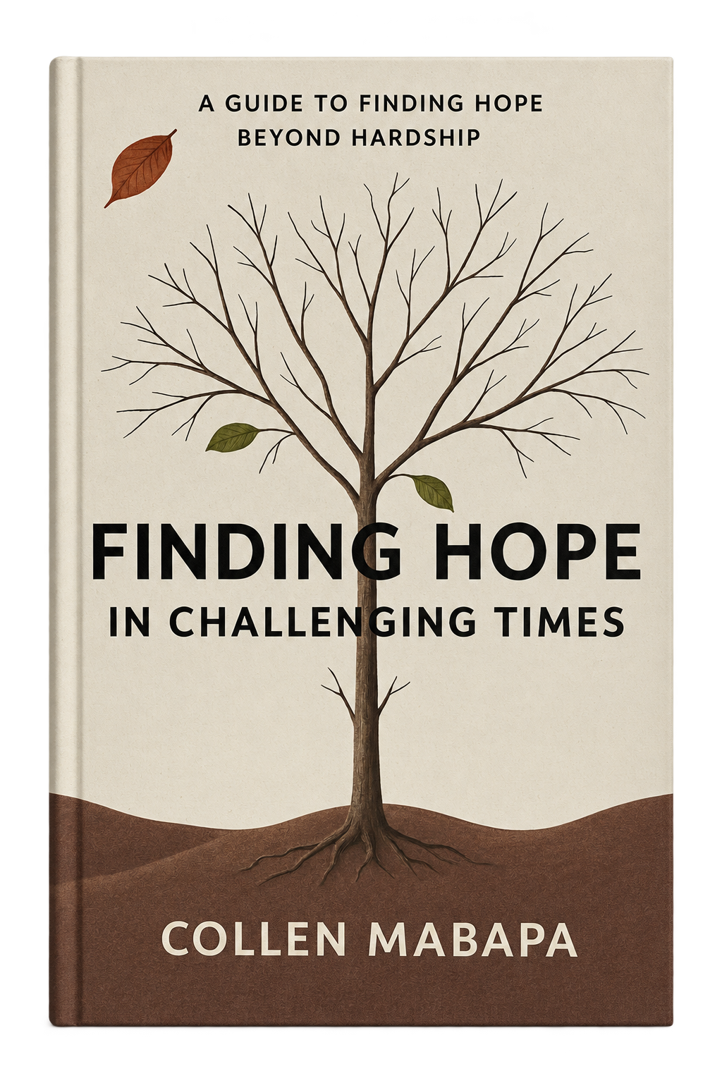 Finding Hope in Challenging Times book cover